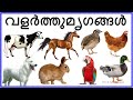 domestic animals names and pet animals in malayalam വളർത്തുമൃഗങ്ങൾ |വളർത്തു ജീവികൾ|@Prinitmalayalam