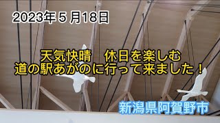 天気快晴　休日を楽しむ　道の駅あがのに行って来ました！　新潟県阿賀野市