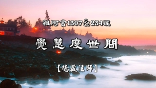 雜阿含1307經(1版)3-3.覺慧度世間[德藏法師](有字幕)