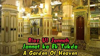 Riaz Ul Jannah Ki Ziyarat aur Fazilat 😍 Masjid e Nabawi | Mimbar-e-Rasool ﷺ | Jannat ki Kyari,Madina