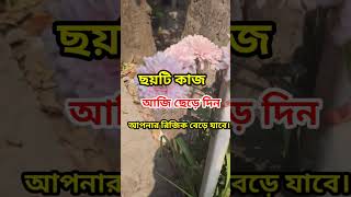 ছয়টি কাজ আজি ছেড়ে দিন আপনার রিজিক বেড়ে যাবে || হাদীসের আলোকে