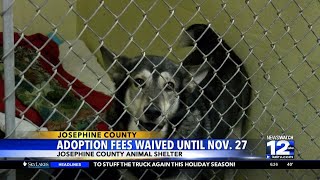 Josephine County Animal Shelter waives adoption fees