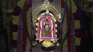 வேலூர் கோட்டை ஸ்ரீ அகிலாண்டேஸ்வரி அம்பாள் தரிசனம்