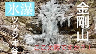 【登山】氷瀑！大阪でこんなすごいものが見れる！三の滝って言ってるけど間違えてる？金剛山