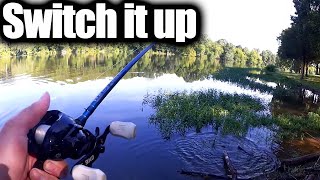 Realistic Bass Fishing Tips - Change Lures To Catch More Bass!