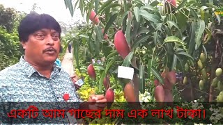 লাখ টাকার আমের গাছ | জাতীয় বৃক্ষ মেলা 2022 | শেরে বাংলা নগর ঢাকা