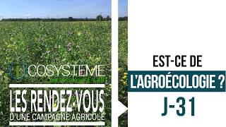 LES RENDEZ-VOUS d'une campagne agricole : J-31