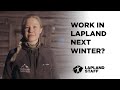 Working in Lapland - Lapland Staff & Lapland Safaris