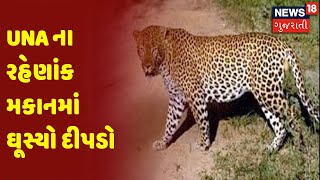 Gir-Somnath | Una ના રહેણાંક મકાનમાં ઘૂસ્યો દીપડો | News18 Gujarati