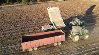 Peanut Harvesting  - DJI Mavic Air 2 @ 1080p 59.94 FPS