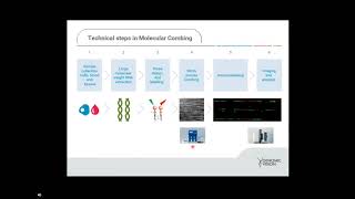 TeloSizer® the solution for precise detection and quantitative measurement of telomere length