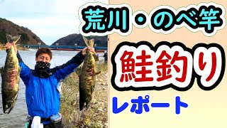 新潟　荒川　鮭釣り　【のべ竿で爆釣】　有効利用調査レポート