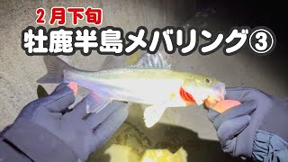 【宮城釣り】牡鹿半島2月メバリング其ノ三