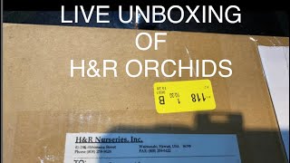 LIVE IN THE ORCHID JUNGLE  UNBOXING H\u0026R ORCHIDS