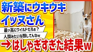 【2ch動物スレ】【悲報】イッヌさん、新築の家をボロボロにしてしまうwww