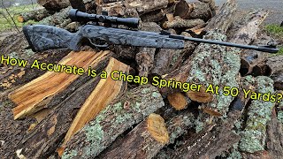 Best Cheap / Budget Springer Shooting 50 Yards \u0026 Short Review