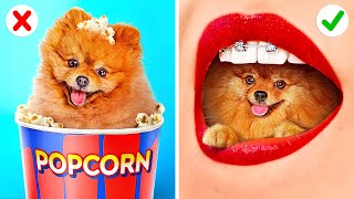 SNEAK PETS INTO THE MOVIES || Funny Life Hacks Tips And Tricks by 123 GO! SCHOOL
