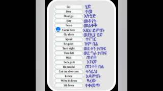Lesson|Four|እንግሊዘኛን በአማረኛ መማር||part(2) learn English while sleeping| Daily use sentences.