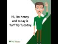 Turf Tip Tuesday - Start Your Lawn Care Program Now