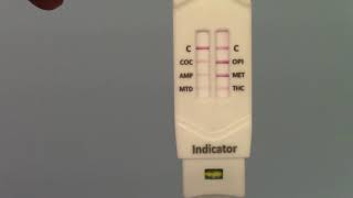 What do the results on a saliva drug test look like