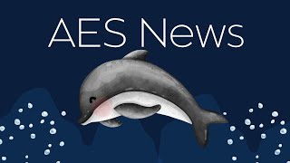 AES News 01/06/25