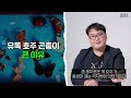 3일이면 곤충 떼 싹쓸이하는 한국의 놀라운 방법 ㅋㅋㅋ