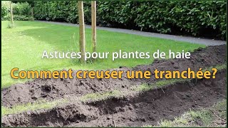 Comment creuser une tranchée? | Astuces pour plantes de haie