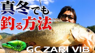 【真冬でも釣る方法】GCザリバイブ × 赤松健【バス釣り】