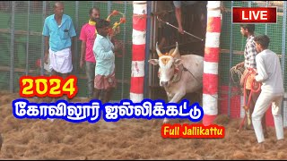 Kovilur Jallikattu  Pudukottai Live full video 2024 / கோவிலூர் ஜல்லிக்கட்டு