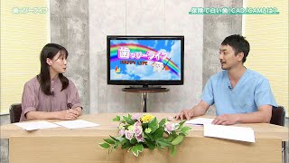 保険で白い歯CAD/CAMとは？ - 歯っぴーライフ｜KBS京都テレビ