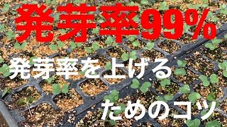 【家庭菜園】目指せ発芽率99％　確実に発芽させるためのコツ