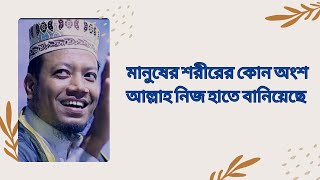 মানুষের শরীরের কোন অংশ আল্লাহ  নিজ হাতে বানিয়েছে Amir Hamza New Waz 2025