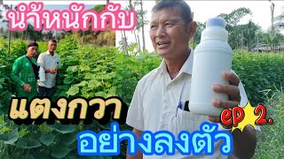 พลังนำ้หมักหลักหมื่นดีสุดๆ Ep2.| เกษตรสร้างรายได้ | เกษตรกล้วยๆ