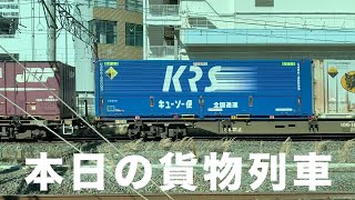 【貨物列車】本日の貨物列車　東海道本線5052番列車　Today's freight train