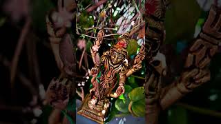 வேல்உண்டு விணையில்லை மயில் உண்டுபயம் இல்லை#muruga#murugasongs#hindudeity #divine#murugadevotional🦚🙏🏼