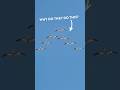 Why do birds fly in a V?