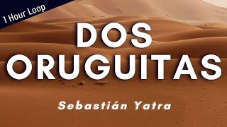 Sebastián Yatra - Dos Oruguitas (From "Encanto") | 1 Hour Loop