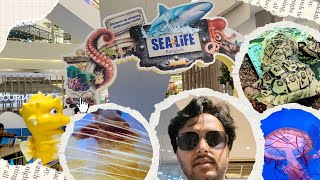 A Family Day at SEA LIFE Bangkok – Thailand’s Aquatic Adventure!