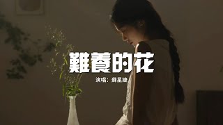 蘇星婕 - 難養的花『還好我是難養的花，無心人等不到發芽，我自絕代風華 這一世美如畫。』【動態歌詞MV】