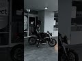 triumph streettriple 🖤 triumph motorcycle ytshorts