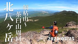 2024/05/25　北八ヶ岳ー縞枯山〜茶臼山周回ー