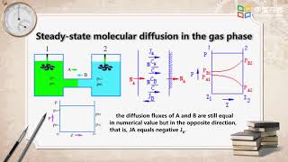 16 Steady state molecular diffusion in the gas phase