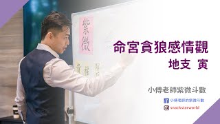 命宮貪狼 感情觀  地支寅 | 小傅老師 #紫微斗數課程