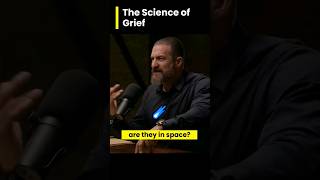 The Science of Grief Dr Andrew Huberman and Chris Williamson #shorts #andrewhuberman #grief