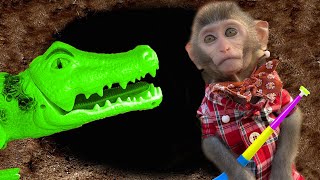 Monkey baby Bim Bim goes truck crocodiles to pick farm