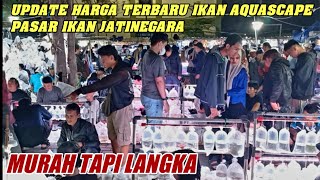 IKAN AQUASCAPE LANGKA HARGA GROSIR TERMURAH‼️ Update Harga Ikan Aquascape Bg Raifi Pasar Jatinegara