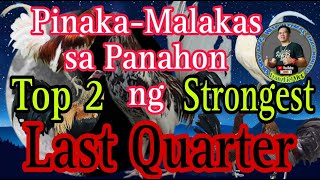 Pinaka-Malalakas na Kulay ng Balahibo tuwing Last Quarter / Most Strongest during FIRST QUARTER