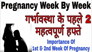 गर्भावस्था के पहले 2 महत्वपूर्ण हफ्ते। Importance Of 1st 2 Weeks In Pregnancy In Hindi Dr Beena