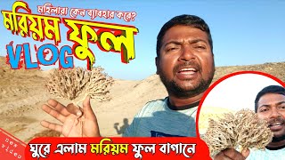 মরিয়ম ফুল সমাচার সৌদি আরব | Gaffar Miah Official