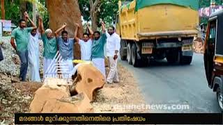 Trees cut for highway : Protest fumes in Chettupuzha Thrissur